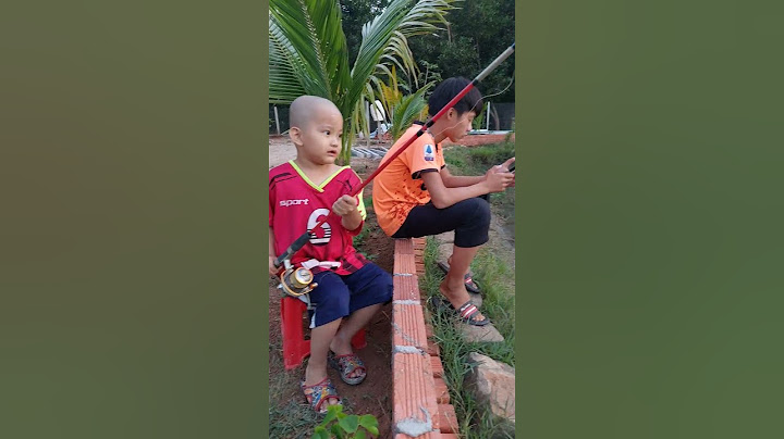 chiều nay Bo đi câu cá về cho má nấu canh chua