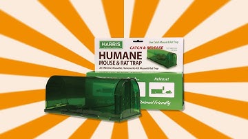 Humane Catch and Release Mouse Trap | Harris