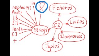 ¿Cómo comprobar un número usando el bucle for en Python? Ejemplos + ejercicios