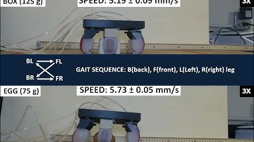 IEEE RA-L Soft Legged Robot 2024