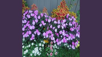 Cuts Right Through Me