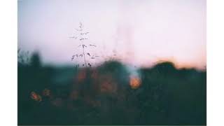 Almaxanım ×Qal Sene Qurban×