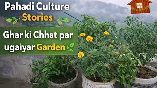 Pahadi Culture Stories 🌿 | Ghar ki Chhat par Terrace Garden | Simple Pahadi Life &amp; Organic Farming