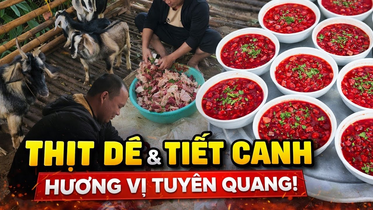 Một Tuần Ăn Dê Lợn Bản Ở Tuyên Quang | Món Núi Dân Dã.