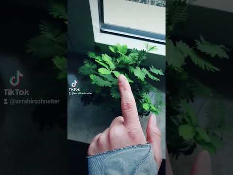 Meine Pausenbeschäftigung. Ich