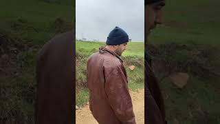 Armut Ağacı Galiba Şfetbeniöneçıkar Şfet Üşraöz