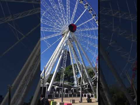 The Wheel of Brisbane