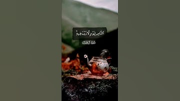 قرآن الصباح #عبدالباسط_عبدالصمد #قرآن #abdulbasit #quran #تلاوة_خاشعة #عبدالباسط