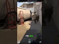 Terrorists Win! You Saw It? I Got a Headshot!