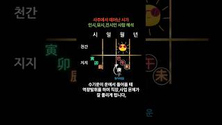 사주에서 태어난 시가 인시,묘시,진시인 사람 해석 #사주 #shorts #운세 #직장운 #사업운 #궁합 #사…