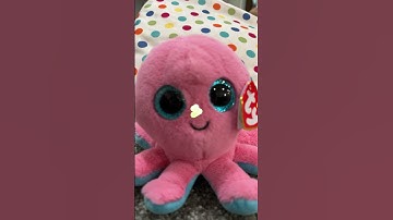 try AI on my bbs!! part 3 #beanieboos