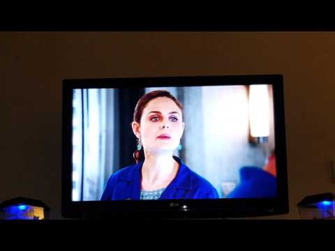 Hodgins is the surrogate for a bot fly--Bones