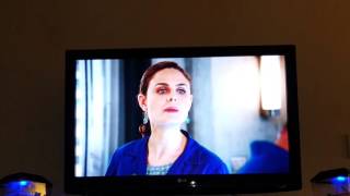 Hodgins is the surrogate for a bot fly--Bones