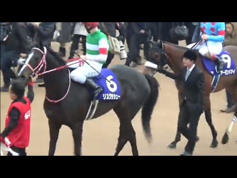 ⑮　競馬　JRA　◆　リスグラシュー　◆　ゴルフマーカー　◆　有馬記念　◆勝負服 ⑮ 競馬 JRA ◇ リスグラシュー ◇ ゴルフマーカー ◇ 有馬記念