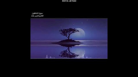 ما تيسر من سورة المنافقين 🍁