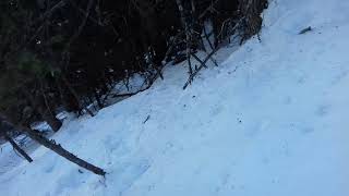 La Tzoumaz-Verbier ski sauvage à l'arrache en forêt improvisé filmé sans gopro