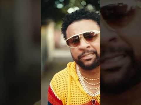 MOVE OFFICIAL VIDEO OUT NOW SHAGGY FT LAVINIA