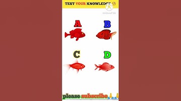 Memory Test || Riddles And Puzzles For Iq Test || part |038 |#shorts #viral #shortsfeed