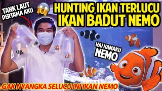 HUNTING PELIHARAAN BARU BUAT TANK LAUT! IKAN BADUT NEMO! LUCU BANGET BENER-BENER KAYA DIFILMNYA!