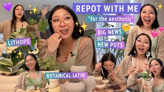 REPOT WITH ME 💜🌱 chill vibes, leaf shape terminology, lithops project, unboxing pots ✨ announcement