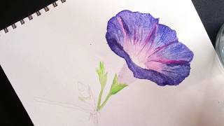 morning paint glory watercolor