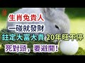 生肖兔這一生因為什麼而幸運，一碰就發財，註定大富大貴，不愁沒錢花，生肖兔的死對頭，要避開！