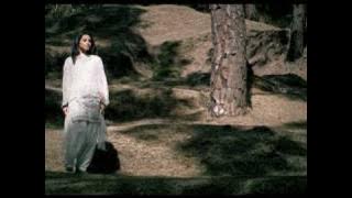 Yaara Mere Yaara Mera Dil Na Dukhayi - Sunny Dollar