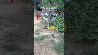 ح اسلامی ویڈیو کو سیر کریں سس کریں