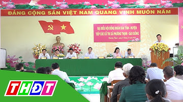 Đại biểu HĐND tỉnh Đồng Tháp tiếp xúc cử tri huyện Cao Lãnh | THDT