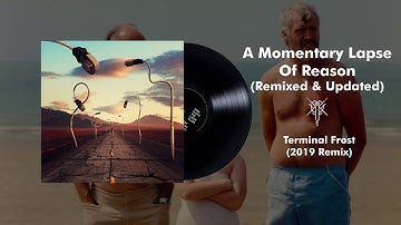 Pink Floyd - Terminal Frost (2019 Remix)