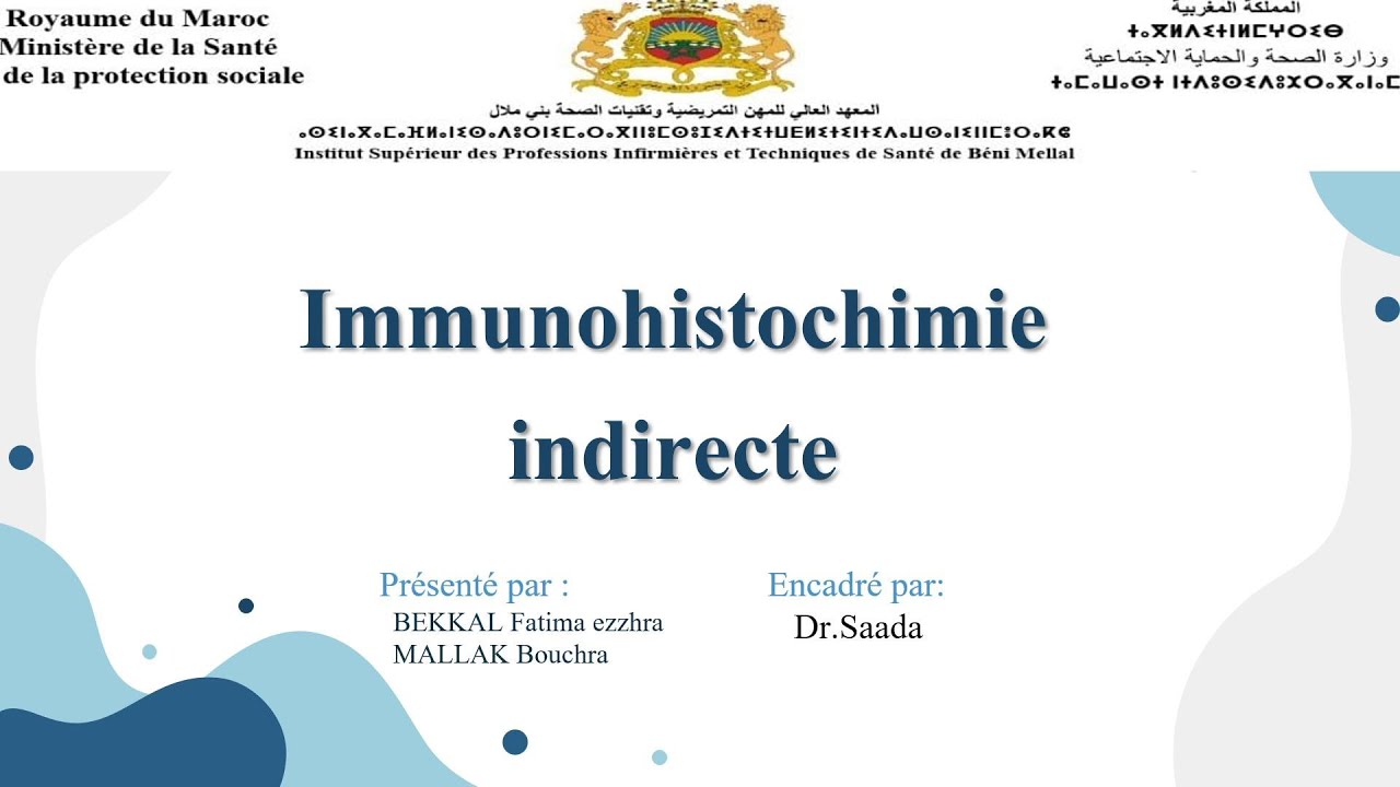 Immunohistochimie indirecte