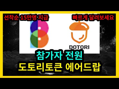 참가자 전원 도토리토큰 에어드랍 