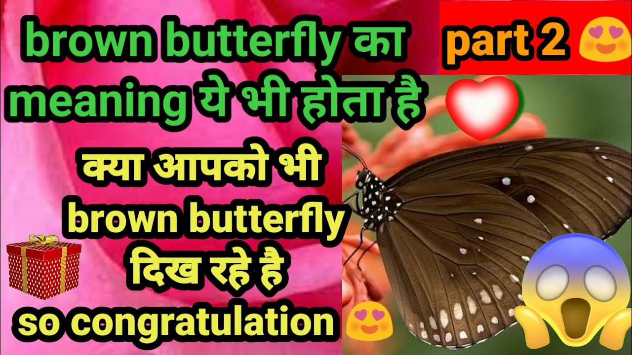 brown butterfly meaning brown butterfly brown butterfly meaning