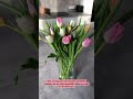 Waarom je tulpen NIET schuin moet afsnijden?!? En meer tips hoe je tulpen eeuwig meegaan! 💐😍