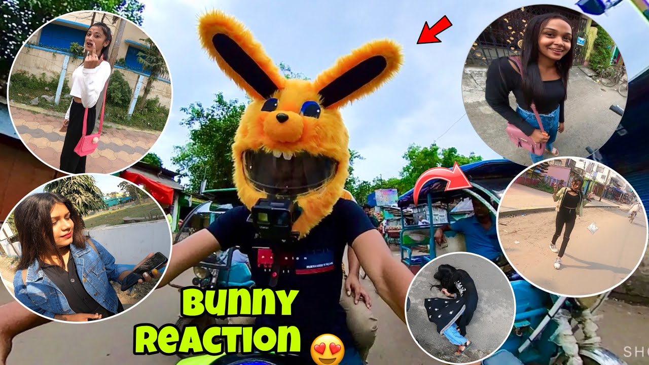 Crazy Reaction ON My Z800😍Bunny helmet Cover⛄️❤️