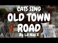 Cats Sing Old Town Road by Lil Nas X | Cats Singing Song