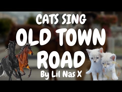 cats-sing-old-town-road-by-lil-nas-x-|-cats-singing-song