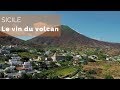 Sicile, le vin du volcan - #fautpasrever