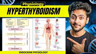 Physiology - Hyperthyroidism Endocrine Mbbs 1St Year Full Explanation Notes Mbbs World