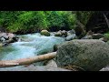 Sonido de río torrentoso en las montañas, pacífico, meditar, dormir, relajarse