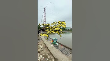 Những lưu ý khi câu cá chép mùa đông.