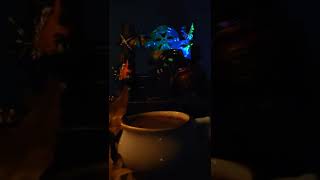 Ben Hakkimi Allaha Havale Etti̇m. Hakedene Helal Etsi̇n