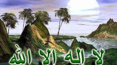 قناة السناري : الشيخ محمد عبداللاه الدشناوي وما تيسر من سورة فاطر