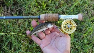 Mini Bass Gone Wild with Micro Fly Reel by Penfishingrods.com 