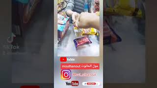 تجربة تشالينج تكتوك مع أصحاب الكريدي #تشالنج#tik tok