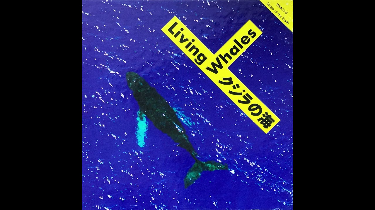 Shigeru Suzuki (鈴木 茂 ほか ): くじらの海 (Living Whales) (1991