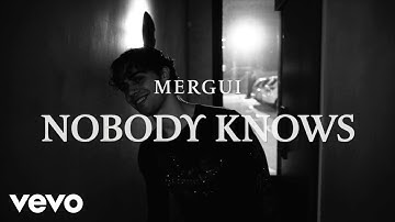 Mergui - Nobody Knows (Official Visualizer)