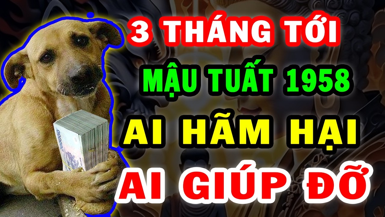 Tử Vi Mậu Tuất 1958 3 Tháng Tới Ai Hãm Hại Ai Giúp Đỡ Xem Ngay Để Tránh Họa Đón Phúc