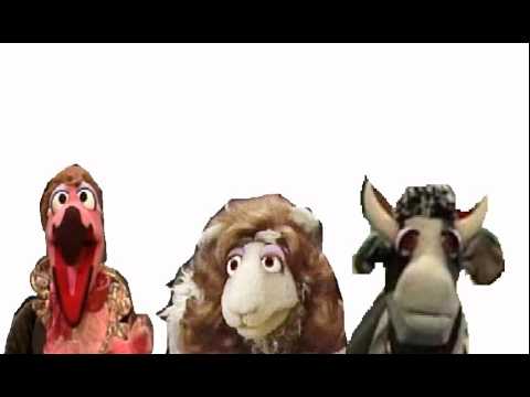 placido flamingo meryl sheep and kathleen the cow YouTube placido flamingo meryl sheep and kathleen the cow YouTube