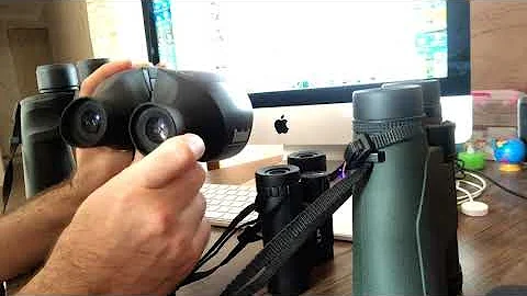 Wide Field of View Binoculars: How to Choose the Best Wide Field of View Binocular